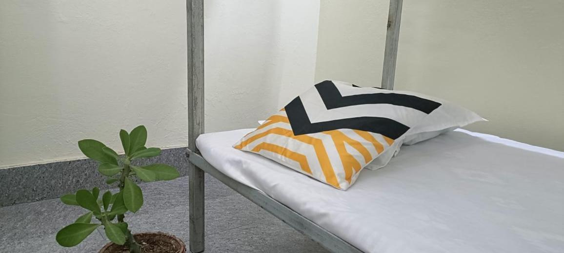 Nikunj Dorme Hostel Rajgir Luaran gambar